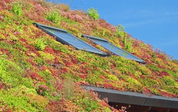 Bilsington living roof systems